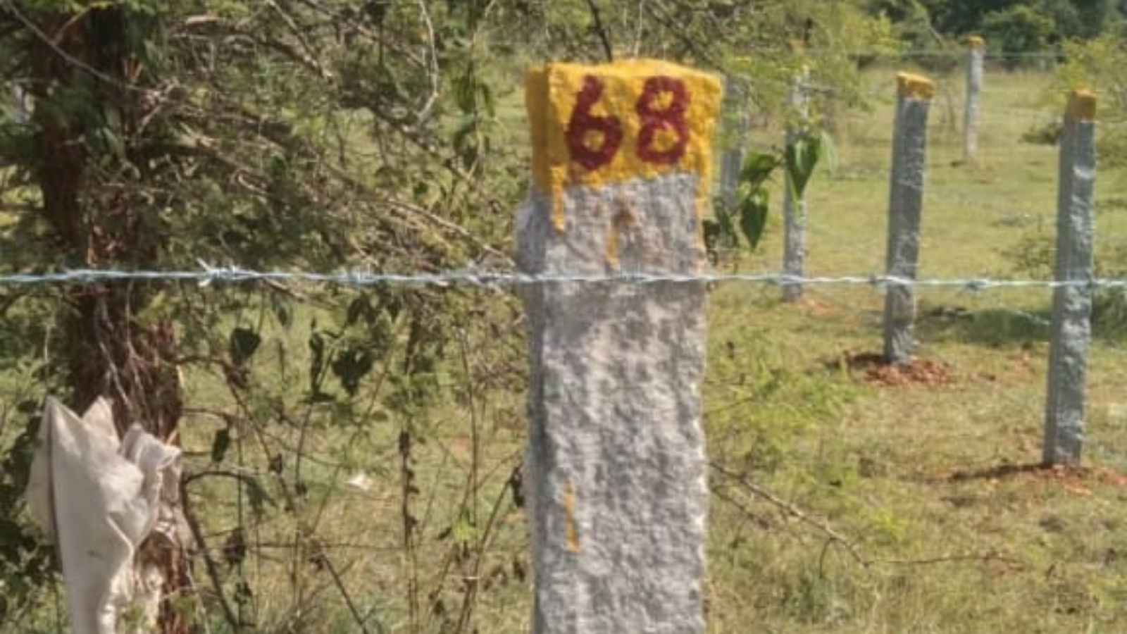 134